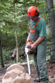Click to see it big Ich mit Kettensäge, Impression aus dem Wald